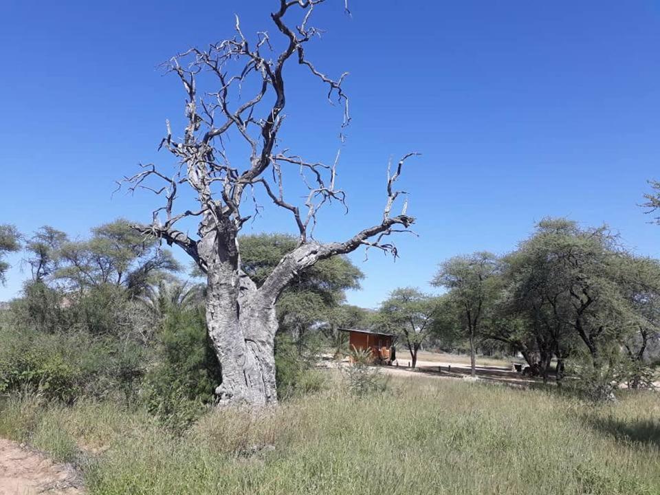 Camp Mara Hotel Omaruru Buitenkant foto